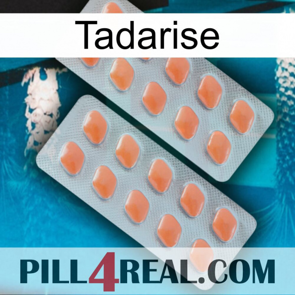 Tadarise 27.jpg